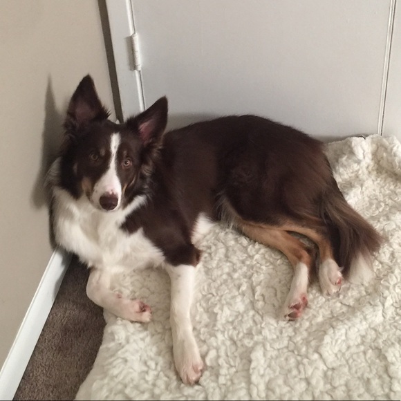 Meet your Posher, Yuexing - Picture 6 of 16